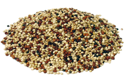 Quinoa